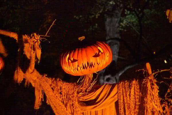 Sleepy Hollow Halloween