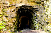 Stumphouse Tunnel Park