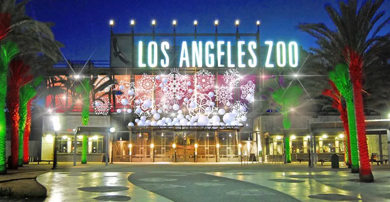 Celebrating Christmas in Los Angeles
