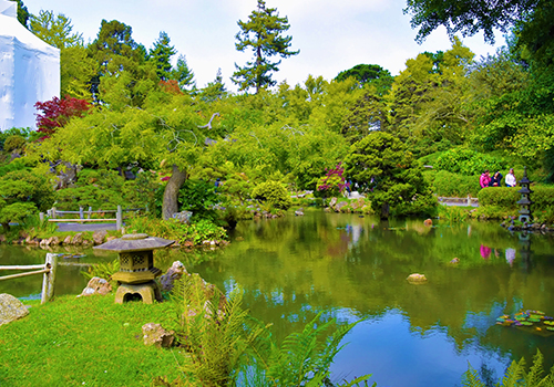 Golden Gate Park