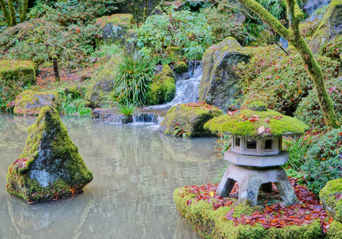 Japanese Garden